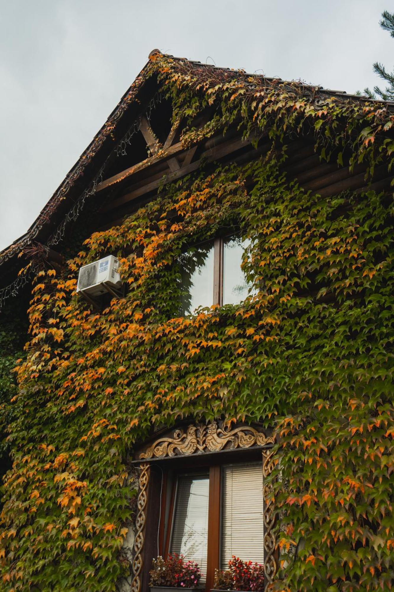 Villa Garden Hotel Solochin Dış mekan fotoğraf