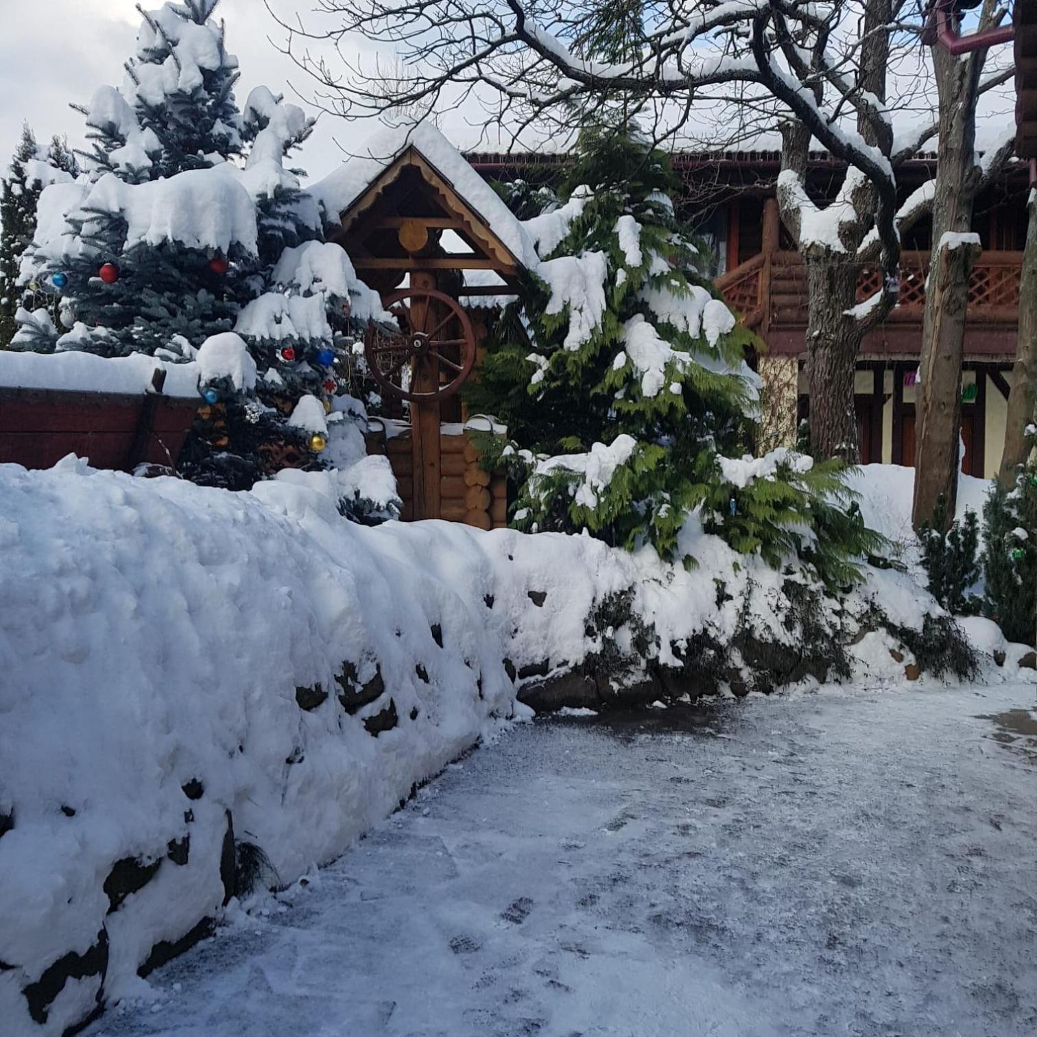Villa Garden Hotel Solochin Dış mekan fotoğraf